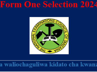 Form One Selection 2024 Tanzania