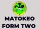 Matokeo ya Kidato Cha Pili 2023 | NECTA Form Two Results 2023