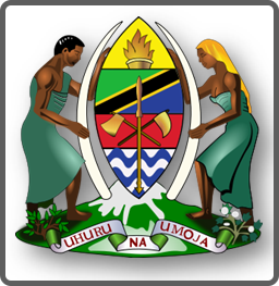 29 New Jobs UDOM August 2024 - Various Posts