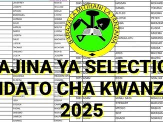 Form One Selection 2025 - Waliochaguliwa Kidato Cha Kwanza 2025