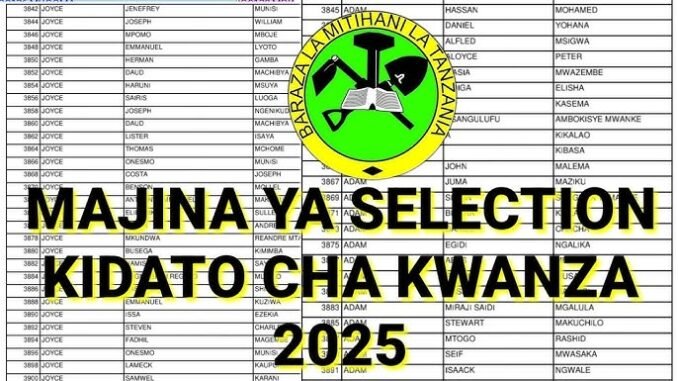 Form One Selection 2025 - Waliochaguliwa Kidato Cha Kwanza 2025