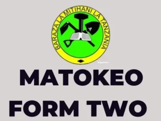 Matokeo ya Kidato Cha Pili 2024 | NECTA Form Two Results 2024