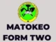 Matokeo ya Kidato Cha Pili 2024 | NECTA Form Two Results 2024